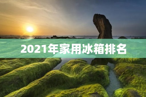 2021年家用冰箱排名：哪些品牌的冰箱最受欢迎？