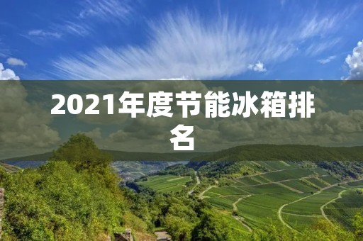 2021年度节能冰箱排名