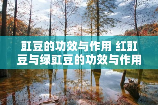 豇豆的功效与作用 红豇豆与绿豇豆的功效与作用