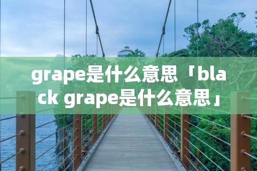 grape是什么意思「black grape是什么意思」