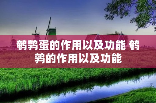 鹌鹑蛋的作用以及功能 鹌鹑的作用以及功能