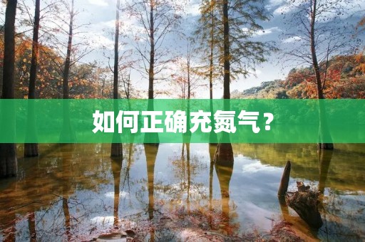 如何正确充氮气？