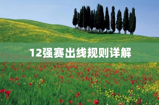 12强赛出线规则详解：小组头名和次名均可晋级