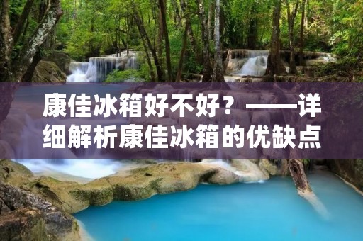 康佳冰箱好不好?——详细解析康佳冰箱的优缺点 康佳冰箱好不好?——详细解析康佳冰箱的优缺点