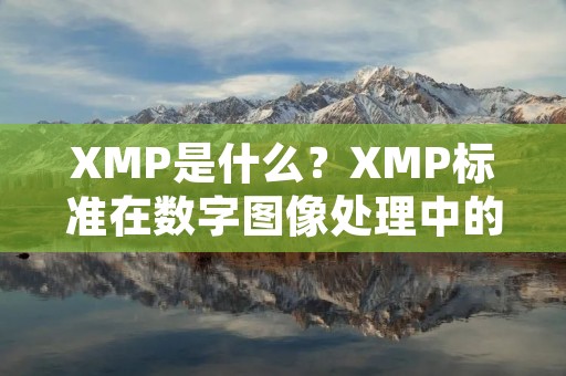 XMP是什么?XMP标准在数字图像处理中的应用 XMP是什么?XMP标准在数字图像处理中的应用
