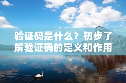 验证码是什么?初步了解验证码的定义和作用 验证码是什么?初步了解验证码的定义和作用