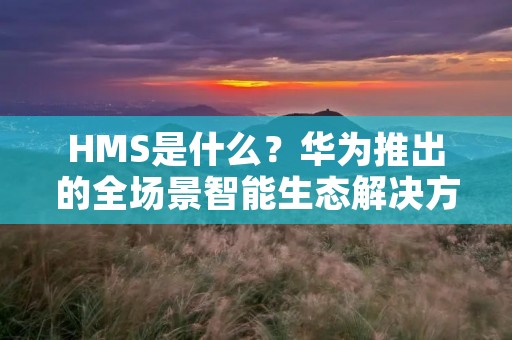 HMS是什么？华为推出的全场景智能生态解决方案