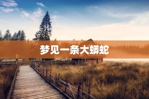 梦见一条大蟒蛇