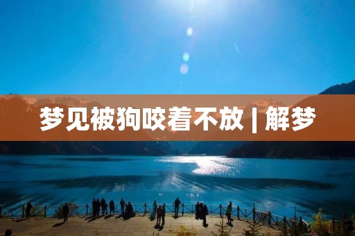 梦见被狗咬着不放 | 解梦