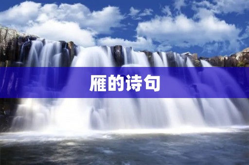 雁的诗句