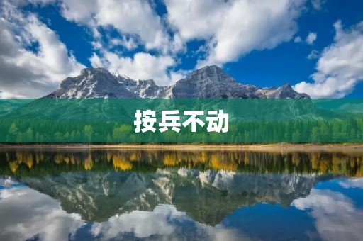 按兵不动：如何在竞争激烈的市场中保持优势
