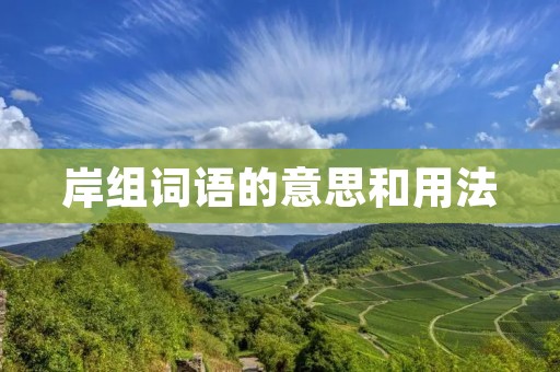 岸组词语的意思和用法