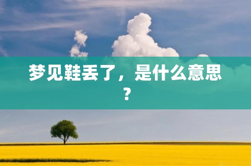 梦见鞋丢了,是什么意思?