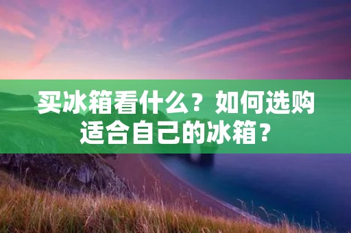 买冰箱看什么？如何选购适合自己的冰箱？