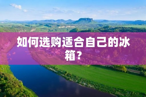 如何选购适合自己的冰箱？