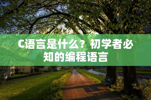 C语言是什么?初学者必知的编程语言 C语言是什么?初学者必知的编程语言
