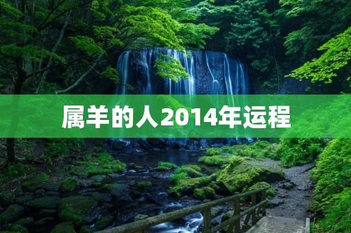 属羊的人2014年运程:吉星高照,财源滚滚
