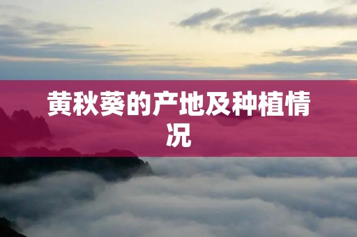黄秋葵的产地及种植情况