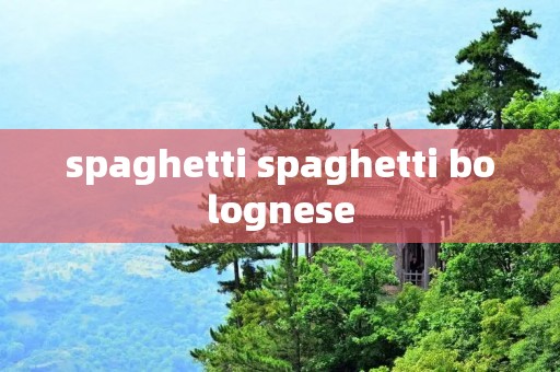spaghetti spaghetti bolognese spaghetti spaghetti bolognese