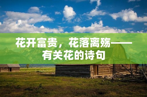 花开富贵,花落离殇——有关花的诗句