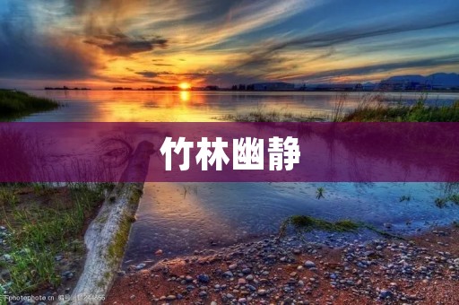 竹林幽静