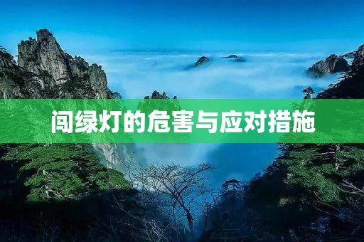 闯绿灯的危害与应对措施 闯绿灯的危害与应对措施