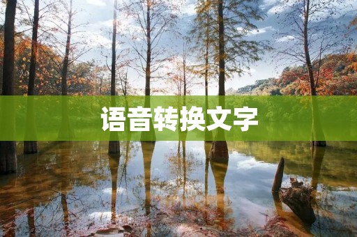 语音转换文字：让听力障碍者也能轻松沟通