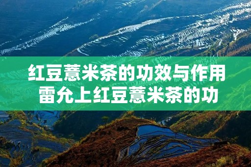 红豆薏米茶的功效与作用 雷允上红豆薏米茶的功效与作用