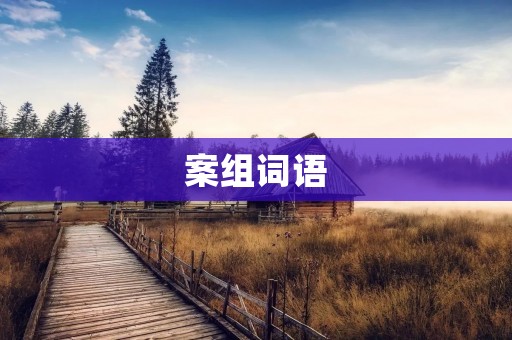 案组词语：探寻案件真相的必备工具