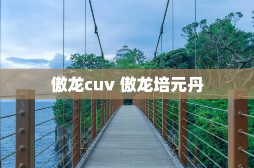 傲龙cuv 傲龙培元丹