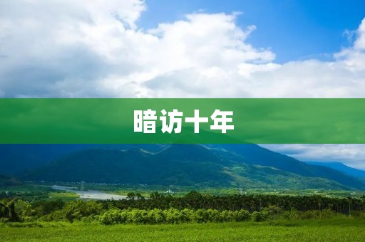 暗访十年：揭露黑暗面的艰辛与收获