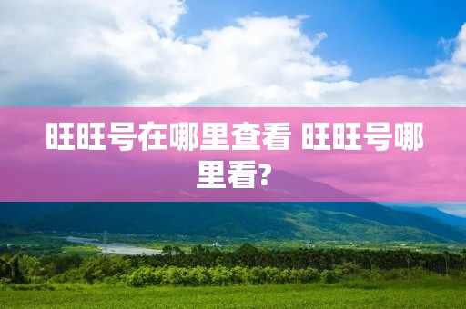 旺旺号在哪里查看 旺旺号哪里看?