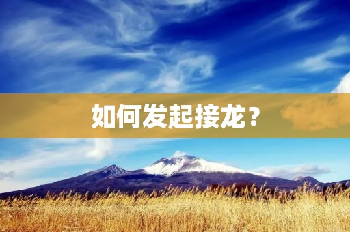 如何发起接龙? 如何发起接龙?
