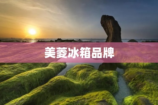 美菱冰箱品牌：优质家电品牌的首选