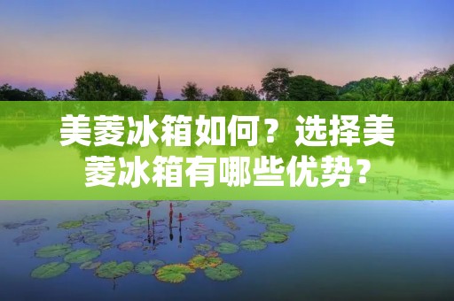 美菱冰箱如何？选择美菱冰箱有哪些优势？