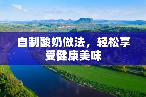 自制酸奶做法，轻松享受健康美味