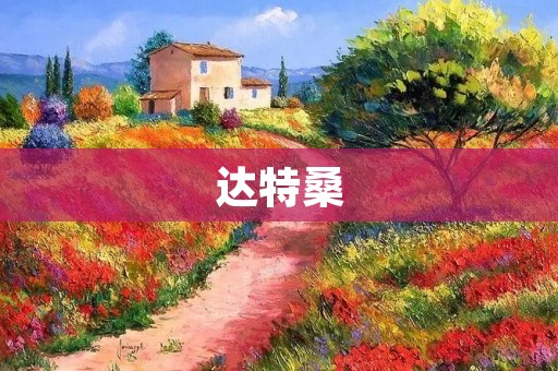 达特桑:一座神秘而美丽的城市 达特桑:一座神秘而美丽的城市