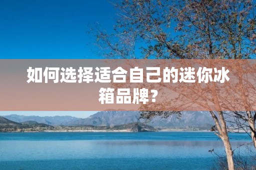 如何选择适合自己的迷你冰箱品牌？