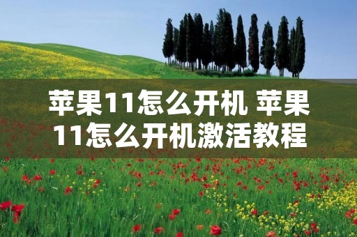 苹果11怎么开机 苹果11怎么开机激活教程