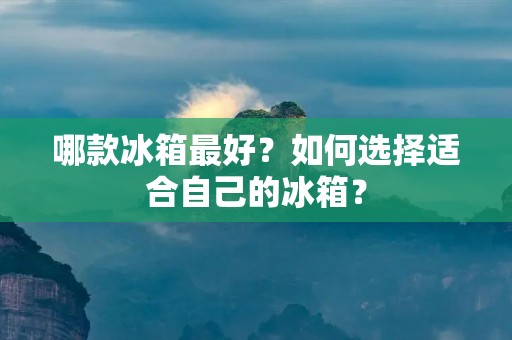 哪款冰箱最好？如何选择适合自己的冰箱？