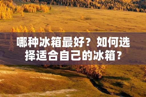 哪种冰箱最好？如何选择适合自己的冰箱？