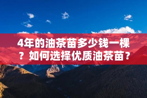 4年的油茶苗多少钱一棵？如何选择优质油茶苗？