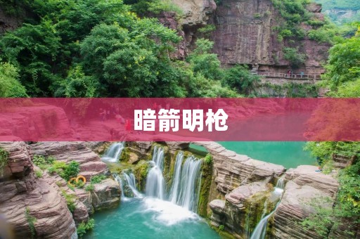 暗箭明枪：揭开背后的真相