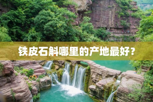 铁皮石斛哪里的产地最好？