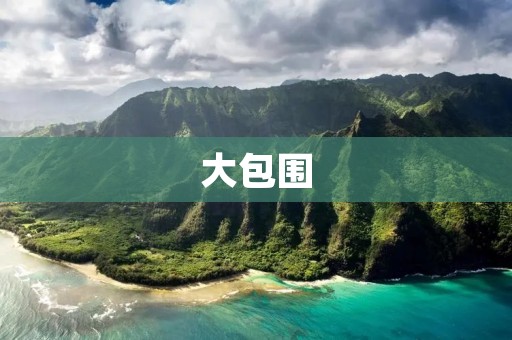 大包围:互联网时代的新现象 大包围:互联网时代的新现象