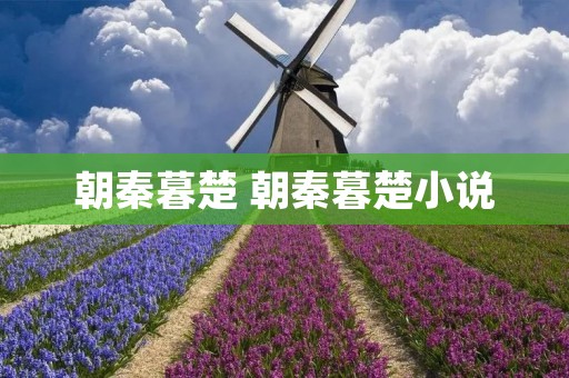 朝秦暮楚 朝秦暮楚小说 朝秦暮楚 朝秦暮楚小说
