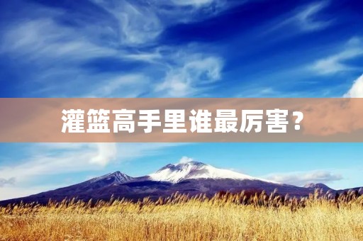 灌篮高手里谁最厉害？
