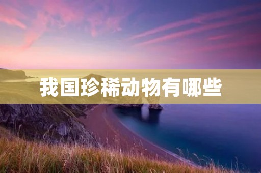 我国珍稀动物有哪些