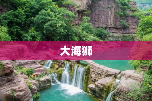 大海狮:南极洲最可爱的居民 大海狮:南极洲最可爱的居民