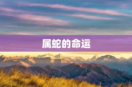 属蛇的命运：十二生肖中的神秘王者